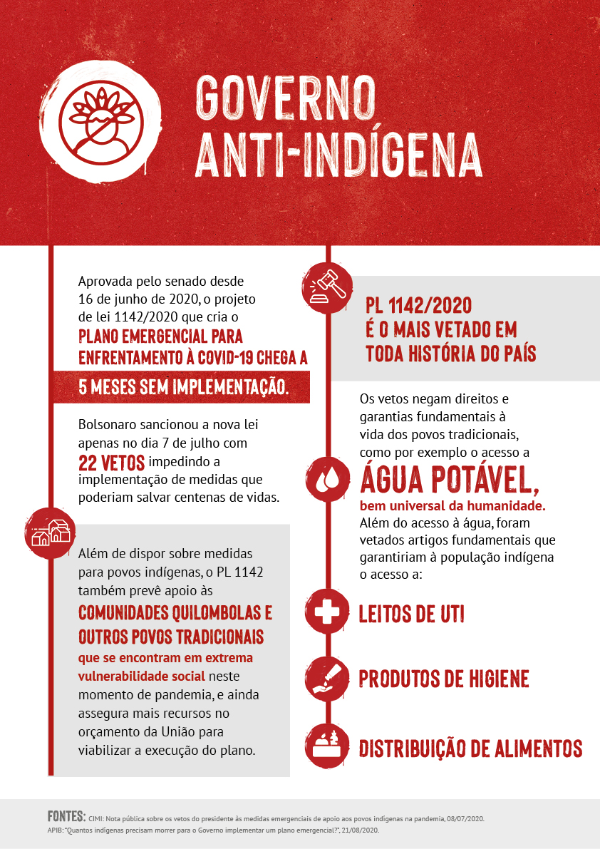 Relatório de atividades para populacoes indígenas